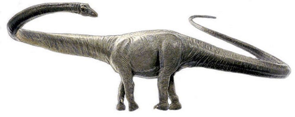 Barosaurus africanus