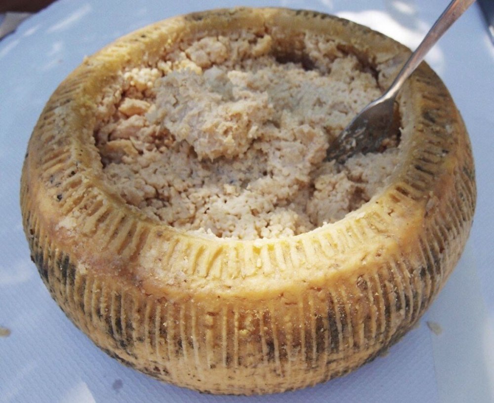 Сардинии сыр касу марцу