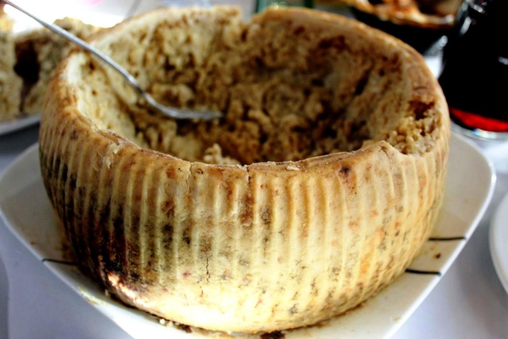 Сардинский сыр касу марцу