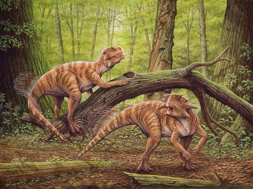 Пситтакозавр sibiricus