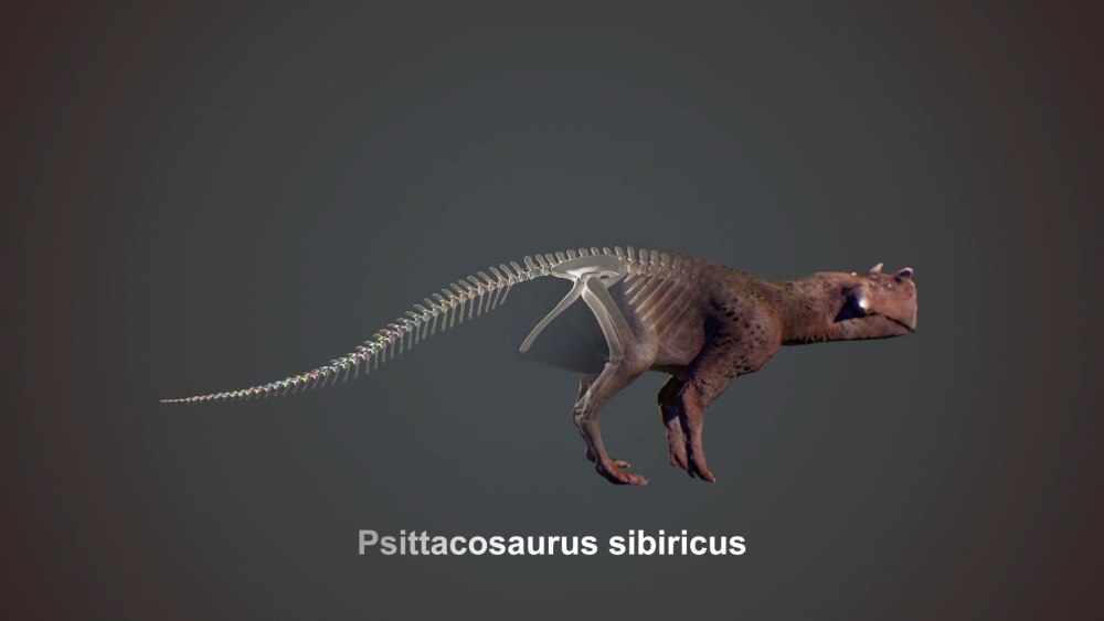 Пситтакозавр sibiricus