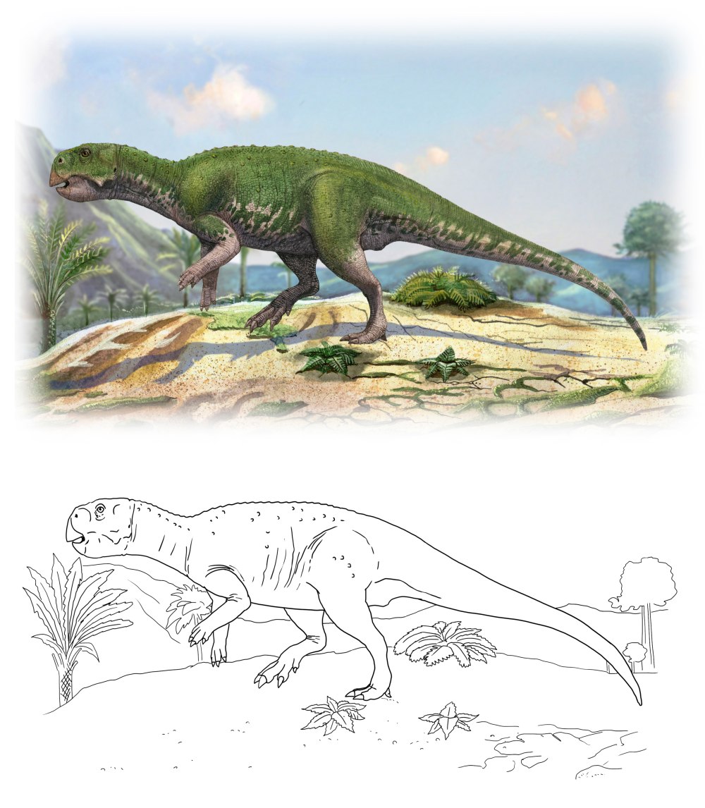 Psittacosaurus mongoliensis