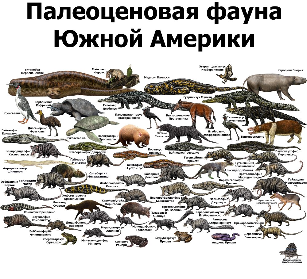 Палеоценовая фауна Южной Америки