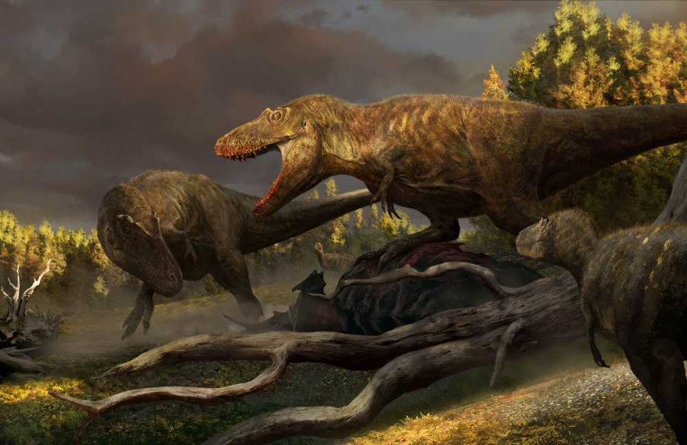 Daspletosaurus wilsoni Атучин