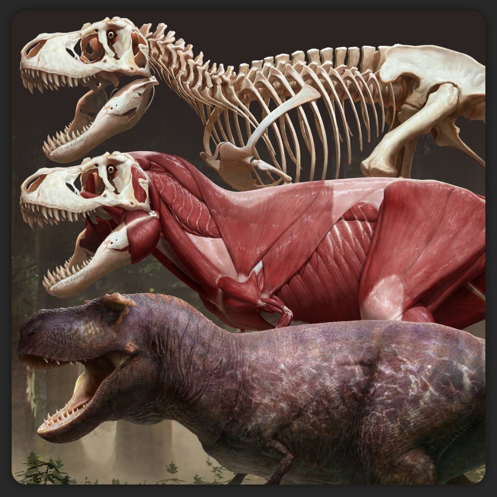 Tyrannosaurus Rex реконструкции