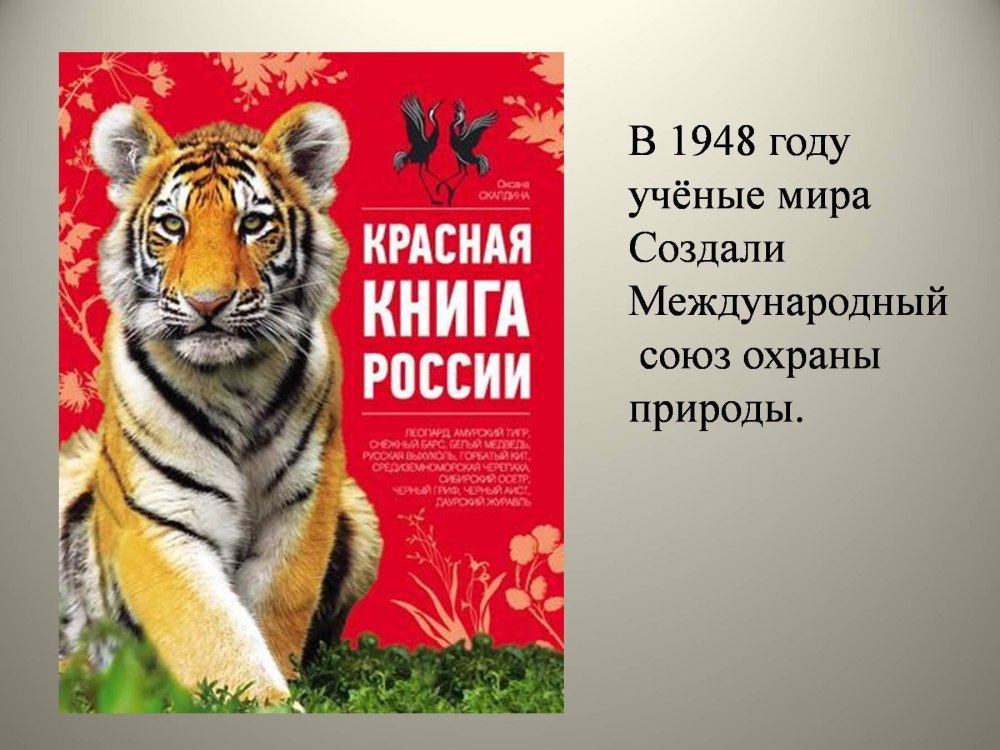 Млекопитающее из красной книги