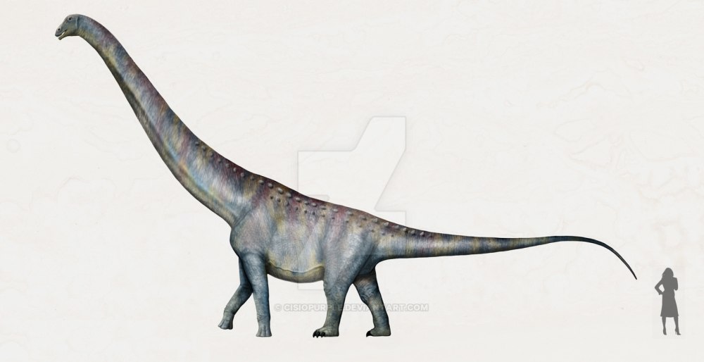 Volgatitan simbirskiensis