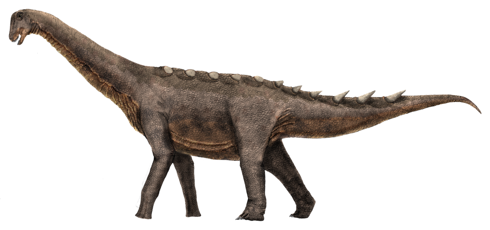 Титанозавр Antarctosaurus giganteus