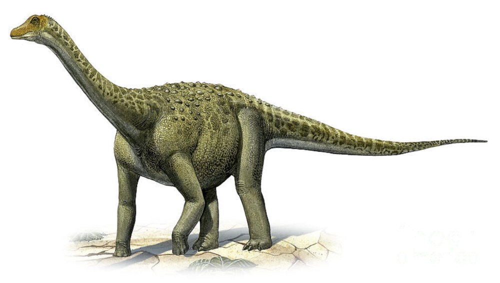 Tengrisaurus Starkovi