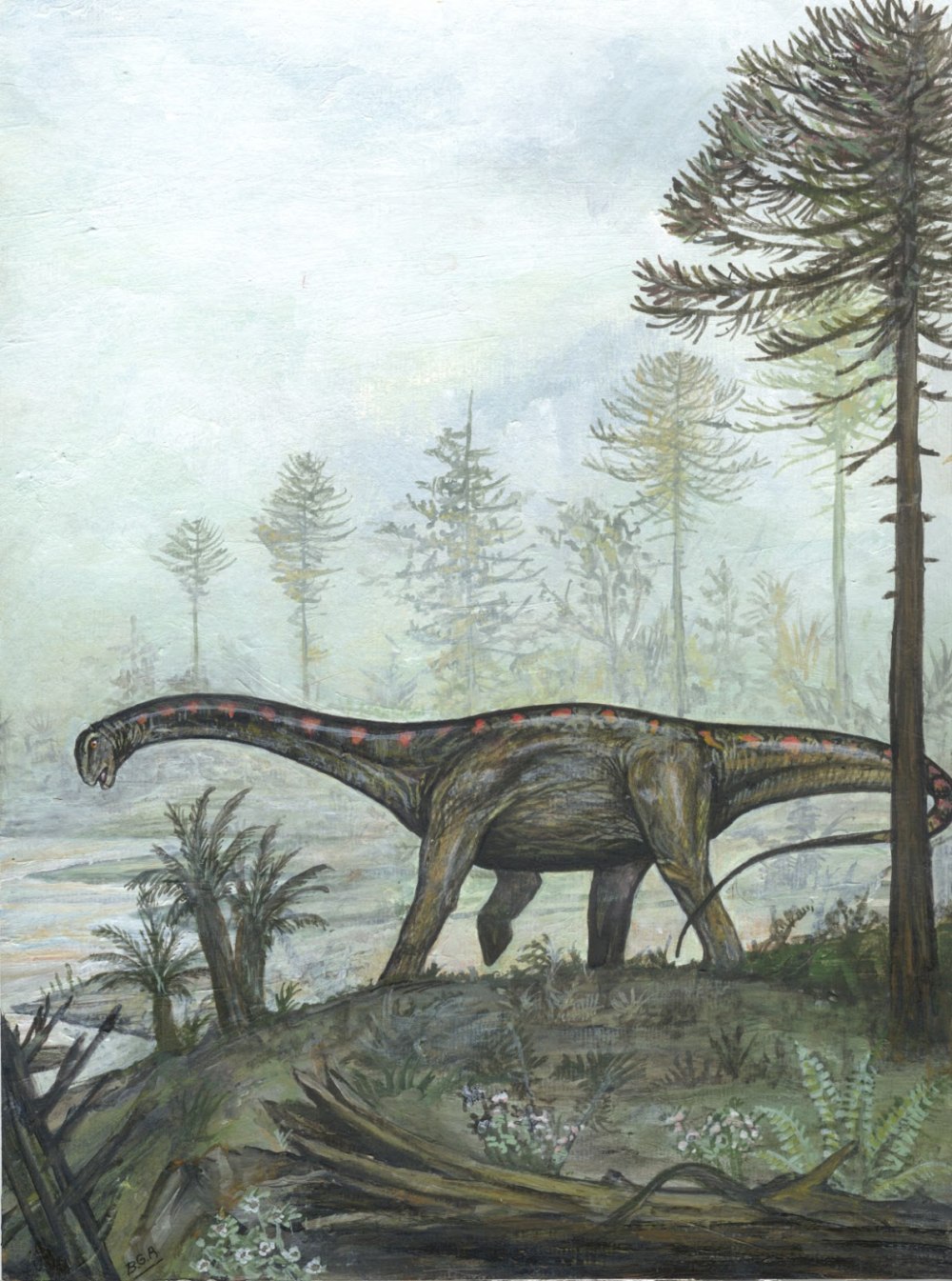 Sinopliosaurus fusuiensis