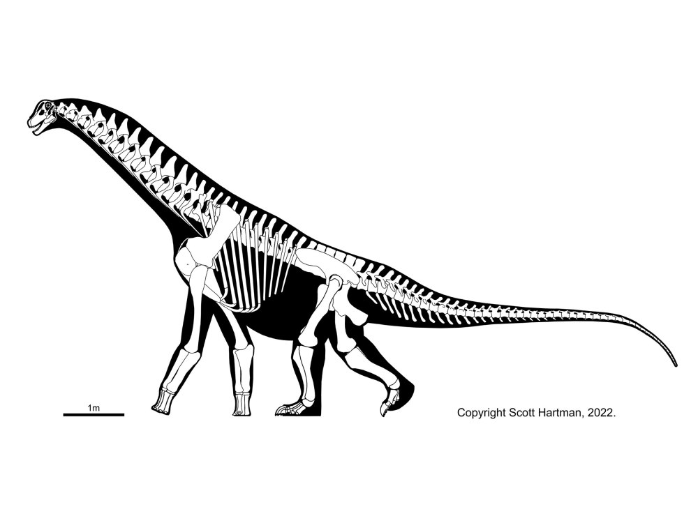 Isisaurus описание
