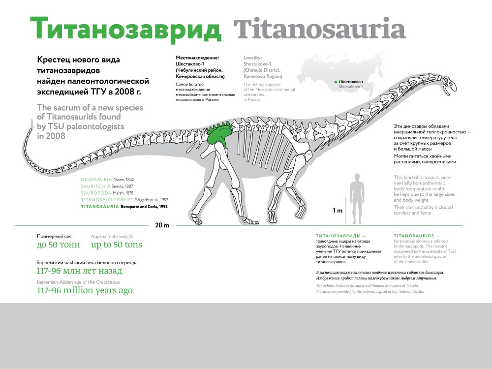 Sibirotitan astrosacralis