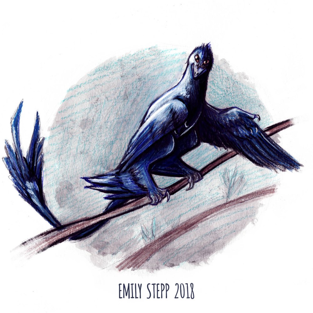 Microraptor gui skeletal