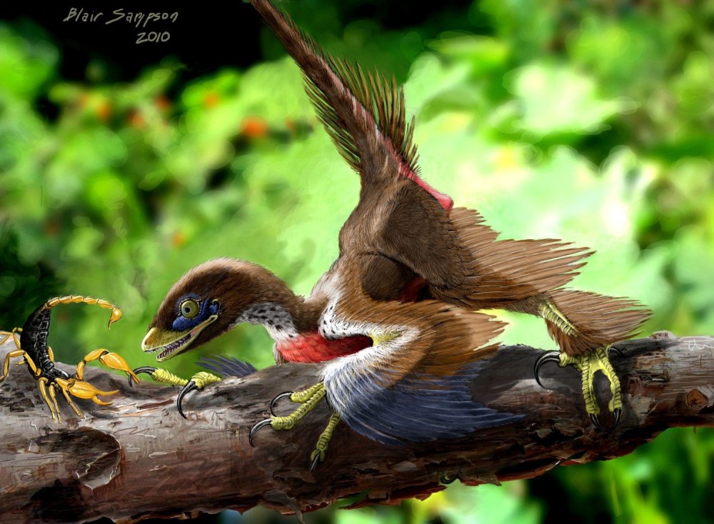 Microraptor zhaoianus