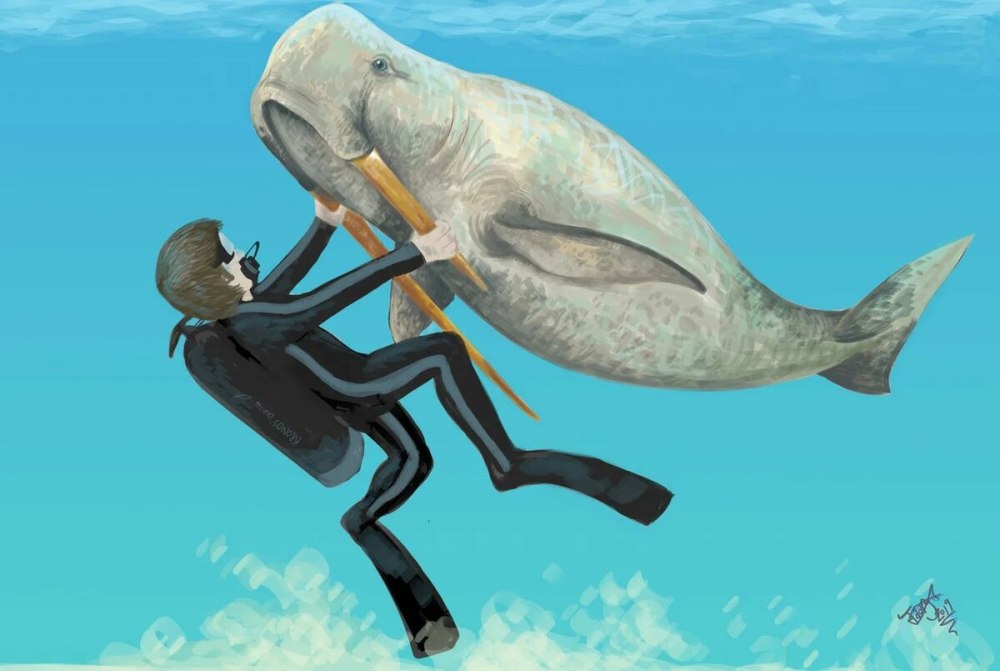 Моржевидный Дельфин