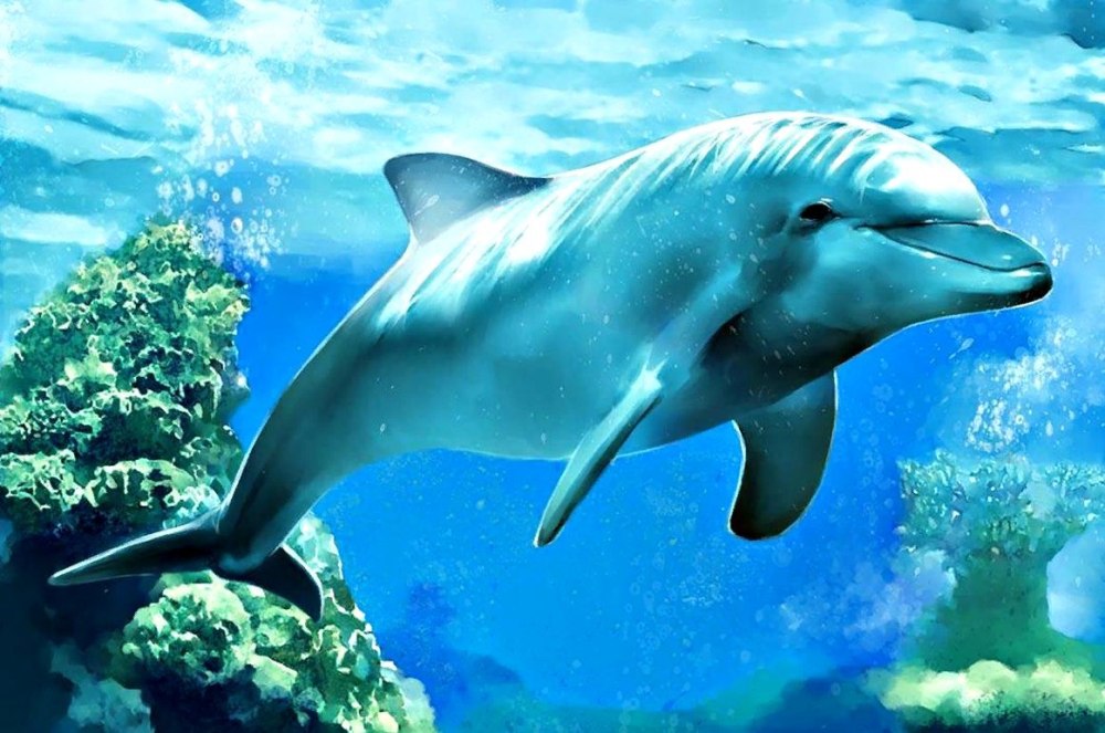 Морские млекопитающие дельфины