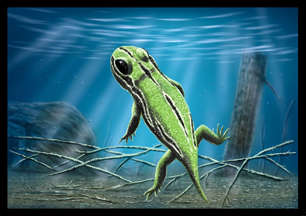 Amphibamus и Phlegethontia