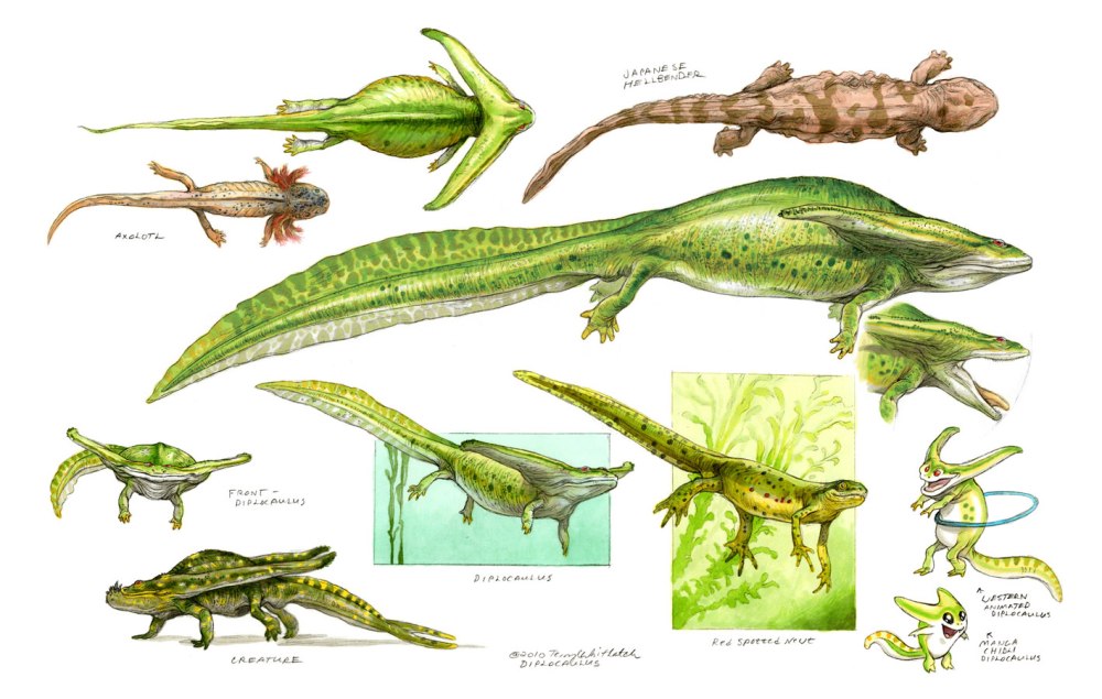 Диплокаулус арт