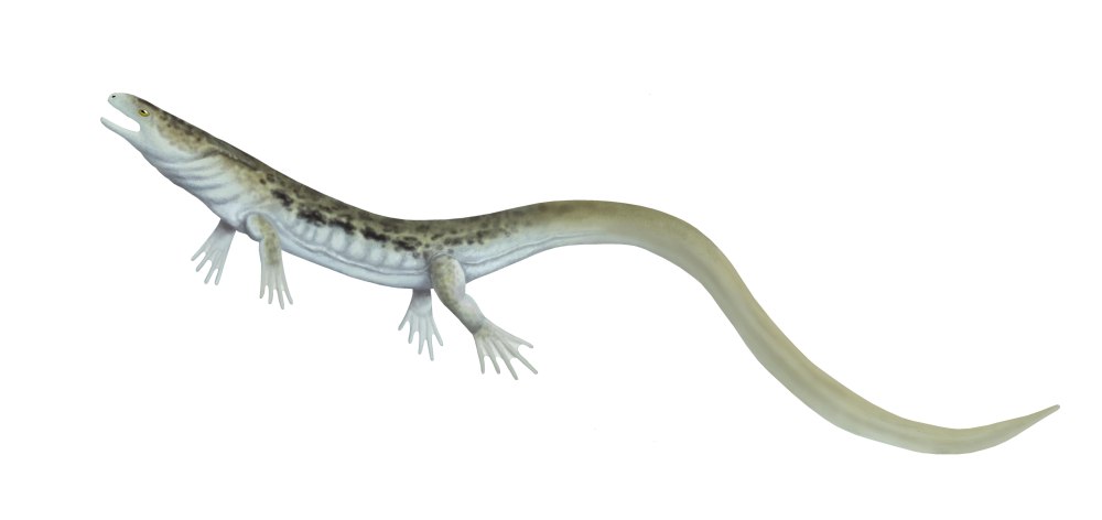 Вымершие лепоспондильные амфибии