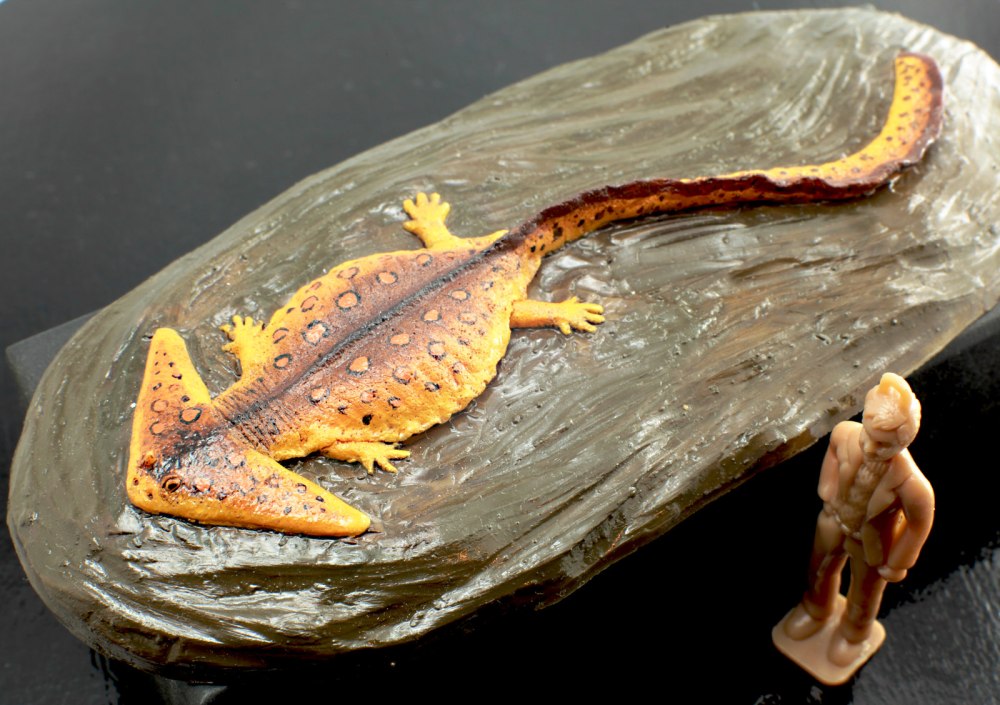 Саламандра Диплокаулус