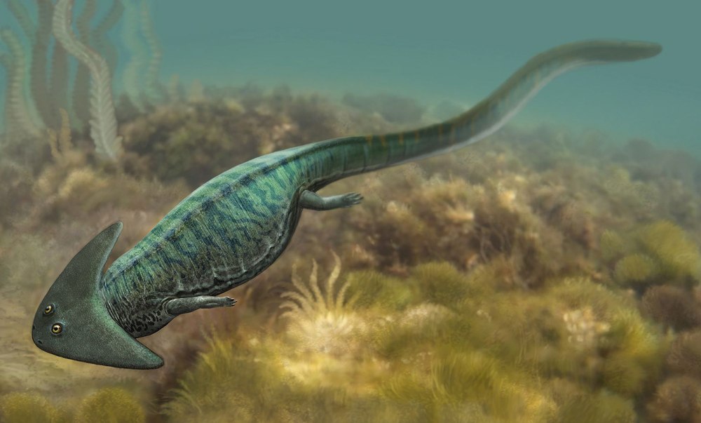 Саламандра Диплокаулус