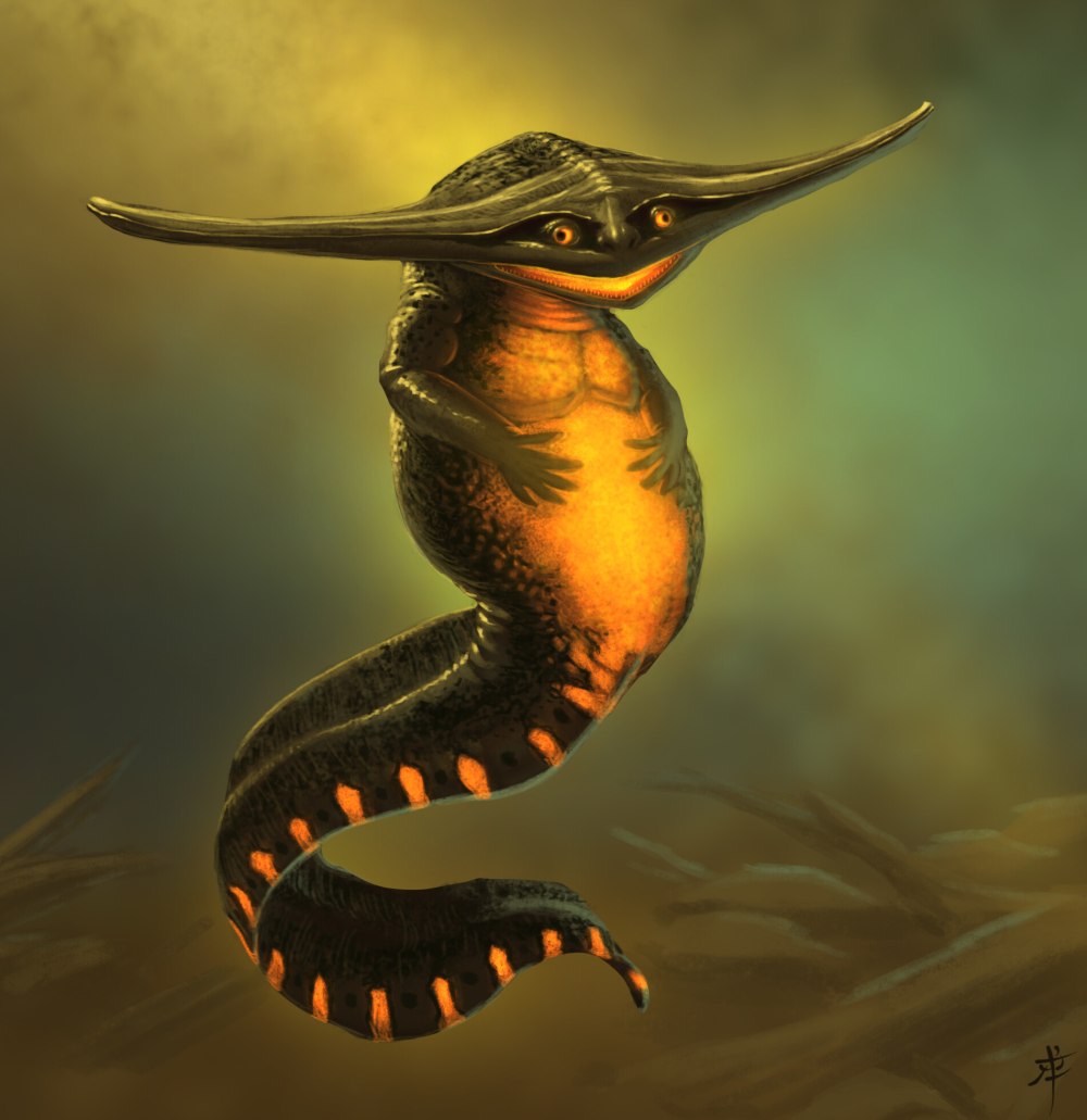 Диплокаулус амфибия