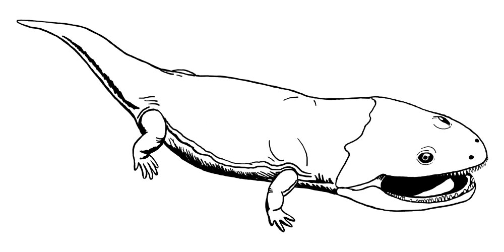 Лабиринтодонт раскраска