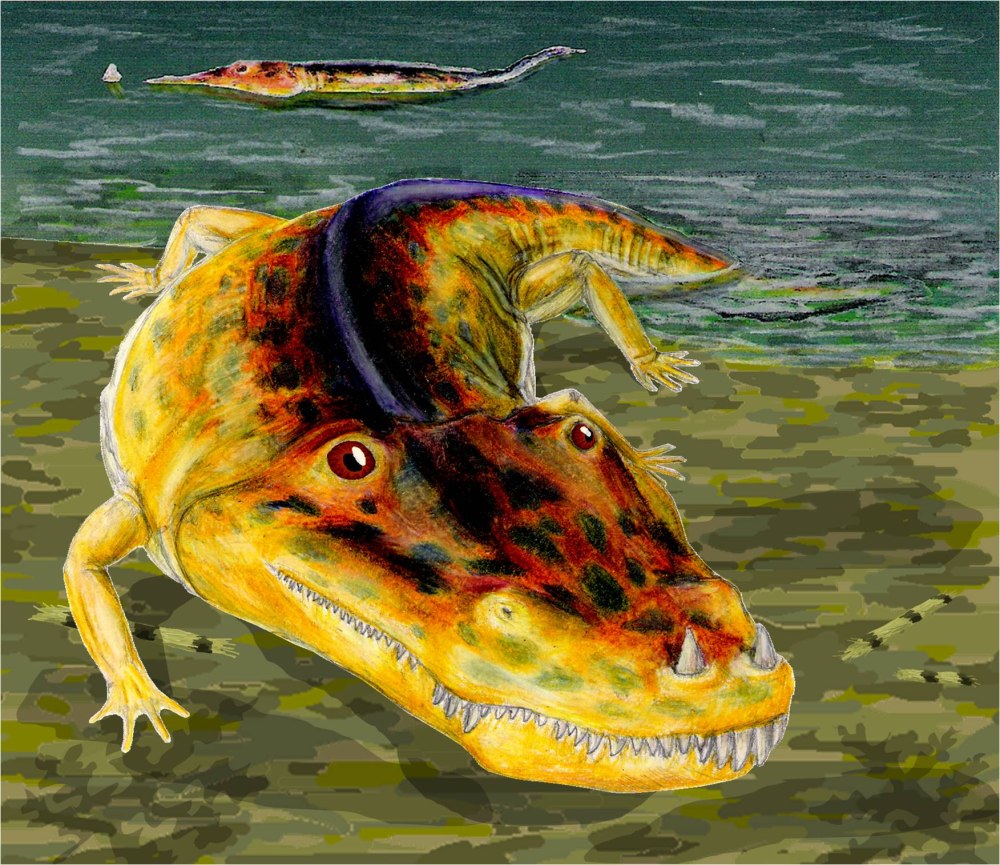 Амфибия Мастодонзавр