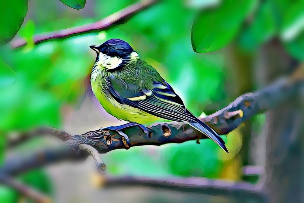 Птицы летом