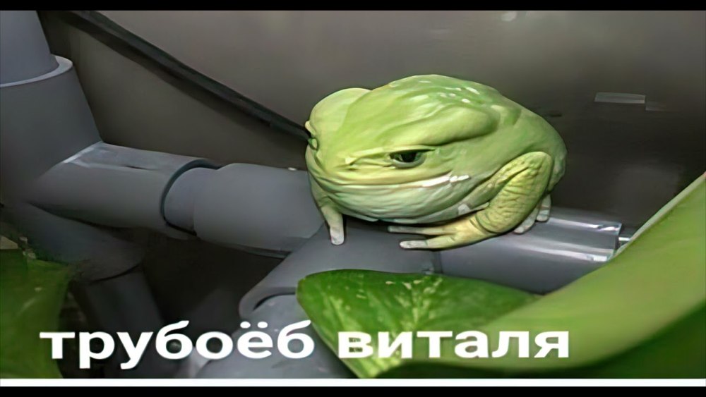 Трубогиб Виталя
