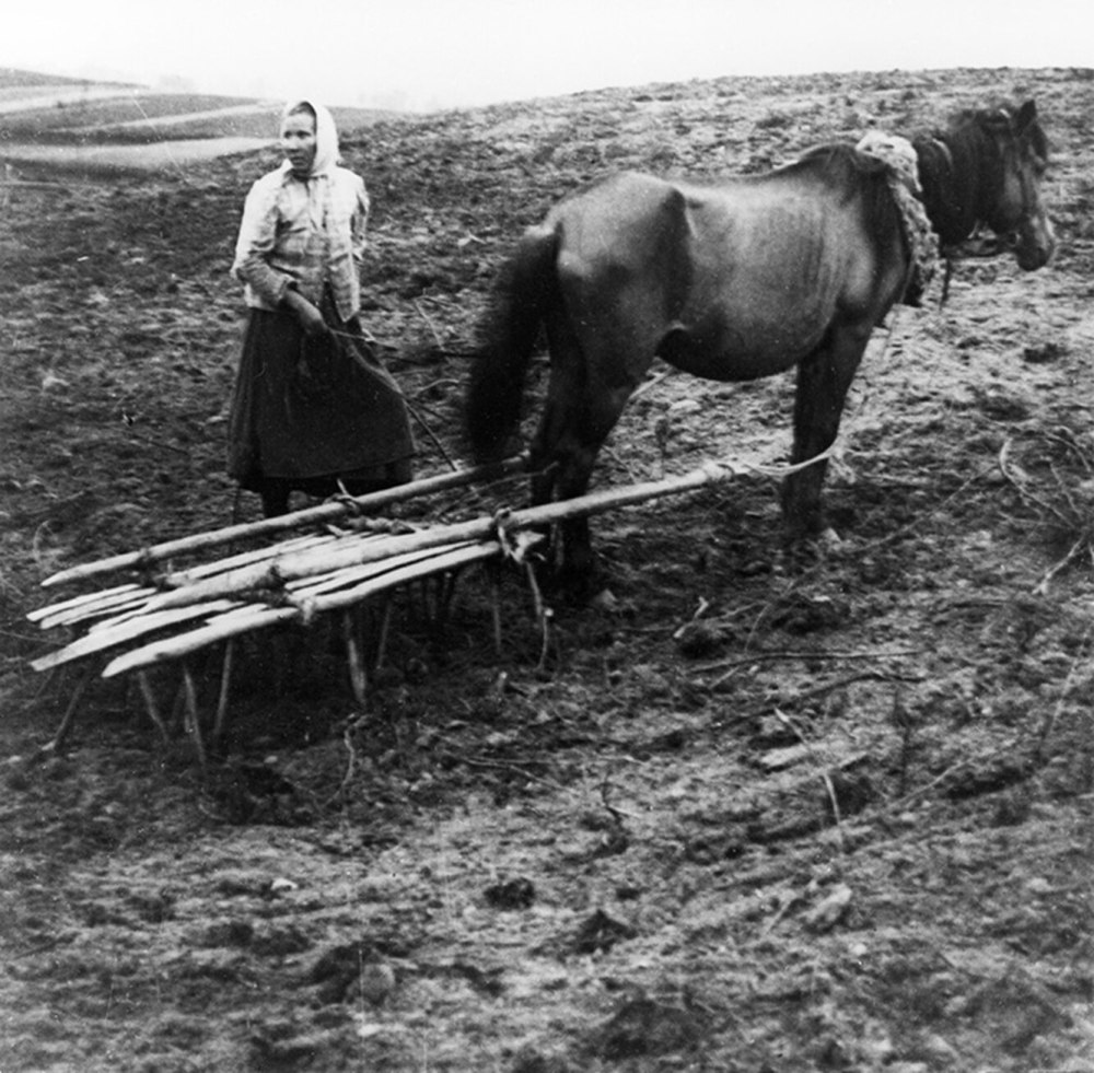 Крестьяне на пашне 1900 год
