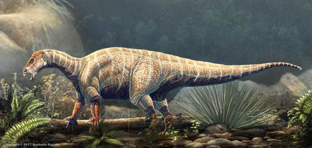 Iguanodon bernissartensis