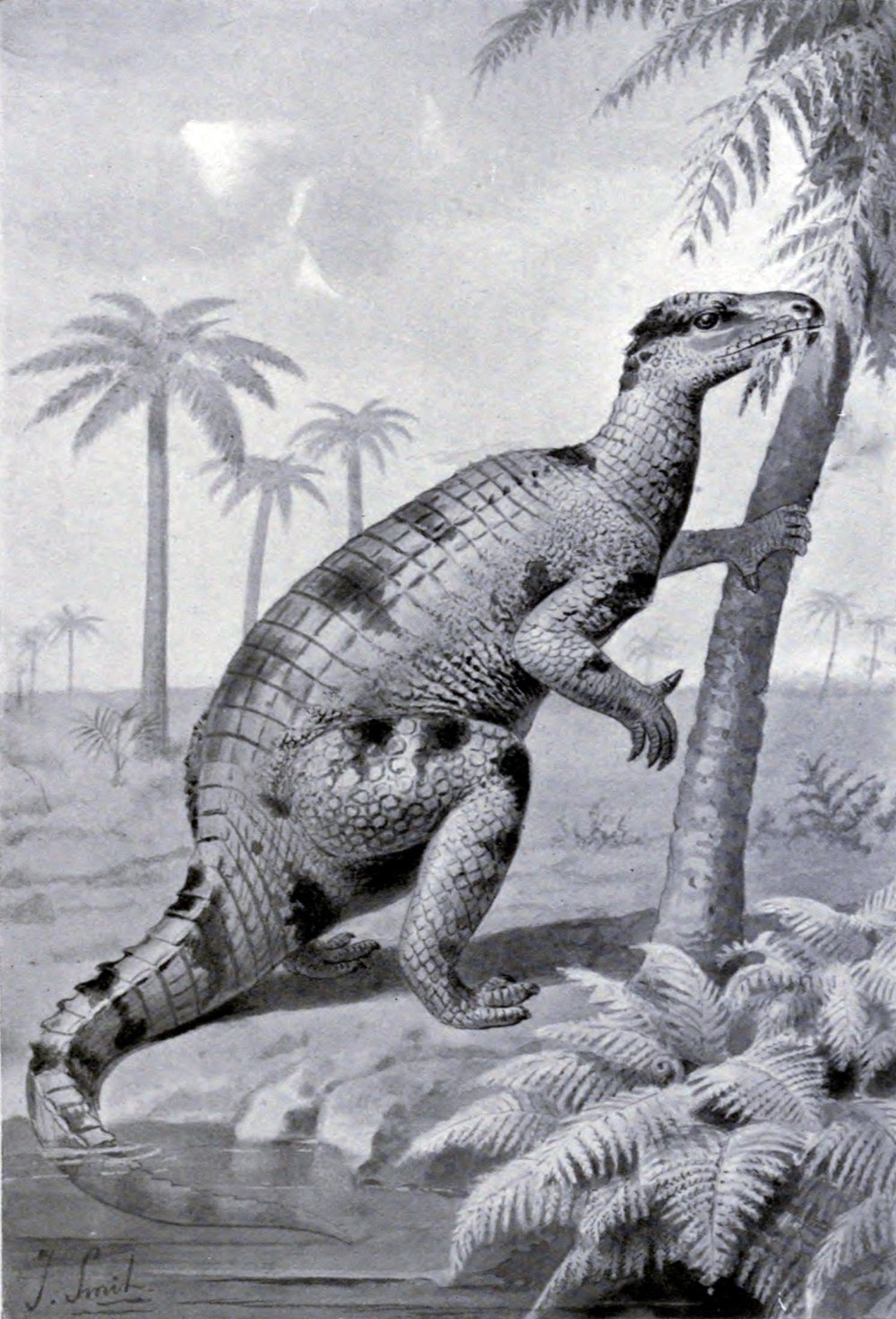 Iguanodon bernissartensis