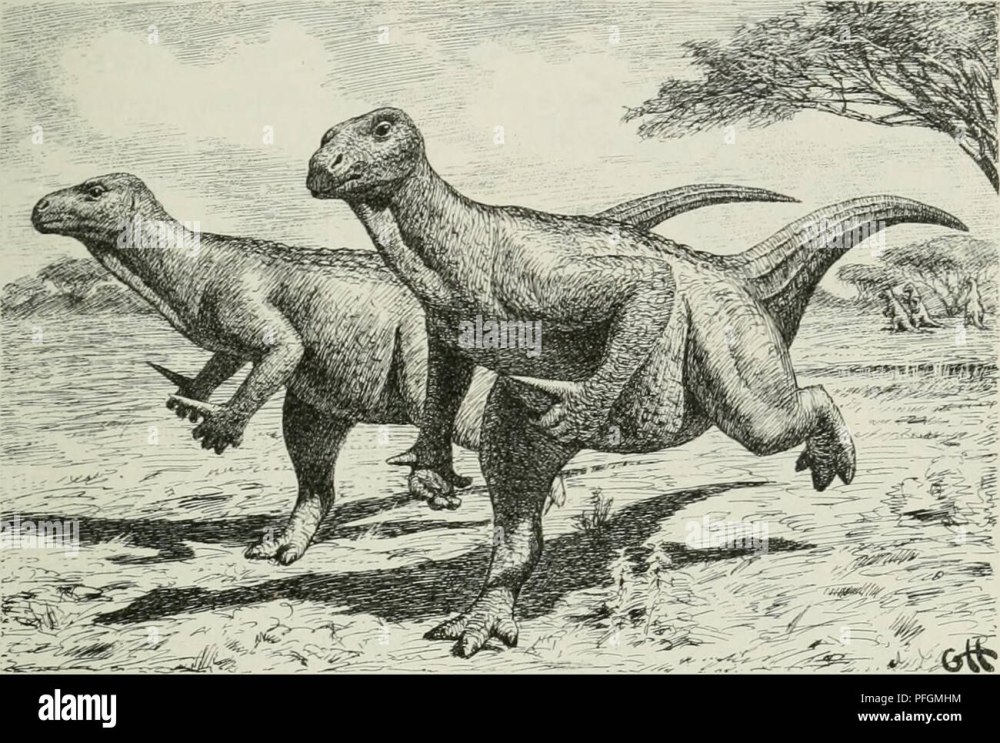 Игуанодон 1850