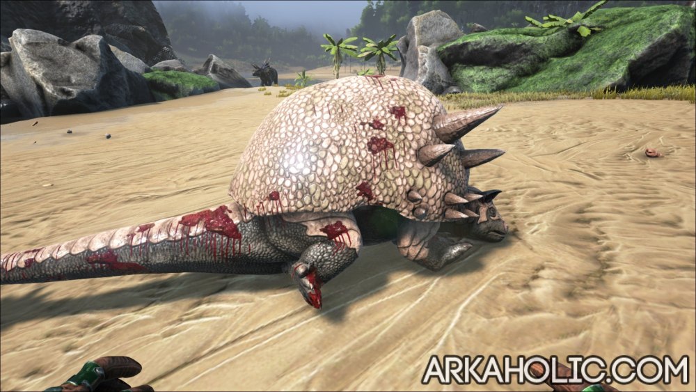Ark Survival Evolved Дедикурус