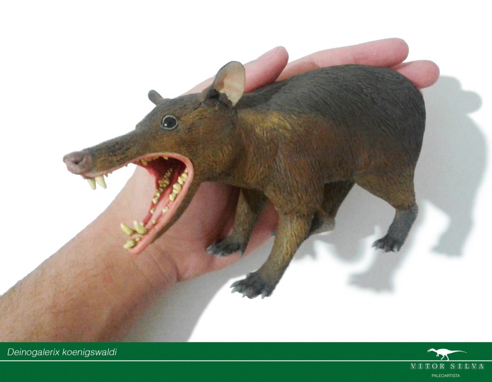 Deinogalerix koenigswaldi