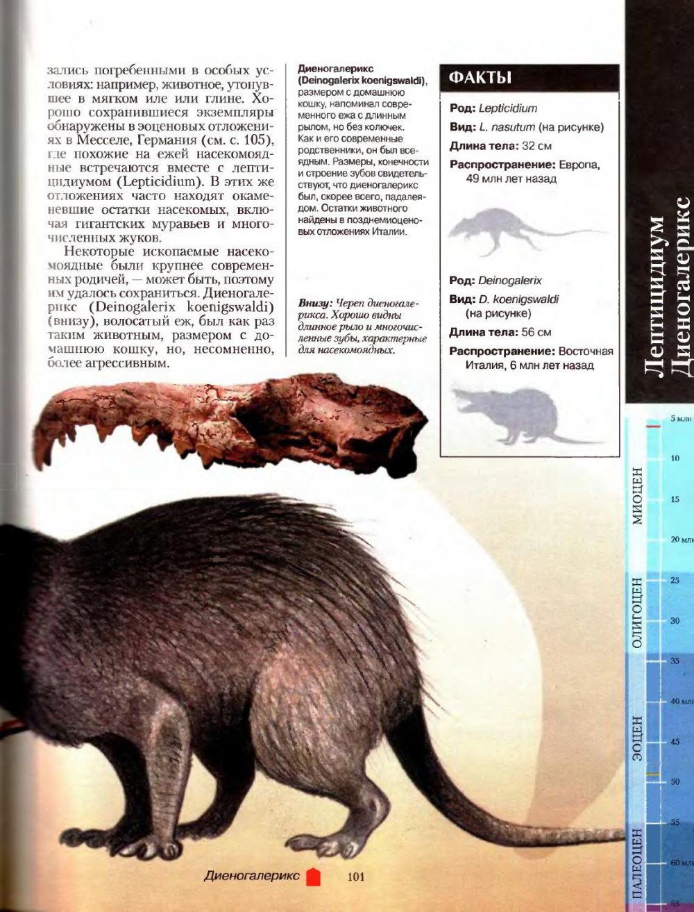 Древние животные Размеры
