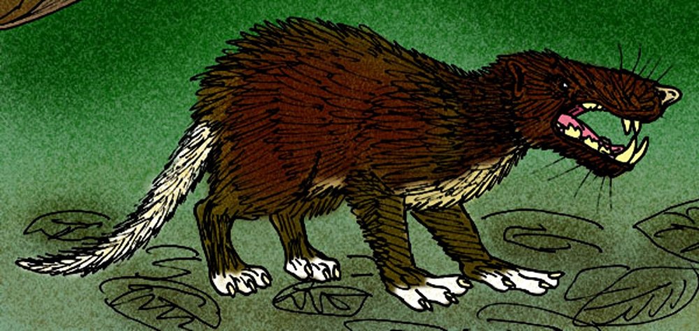 Deinogalerix koenigswaldi