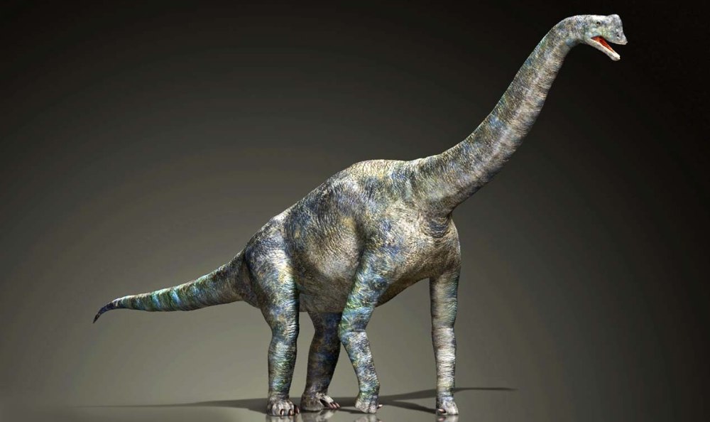 Europasaurus динозавр