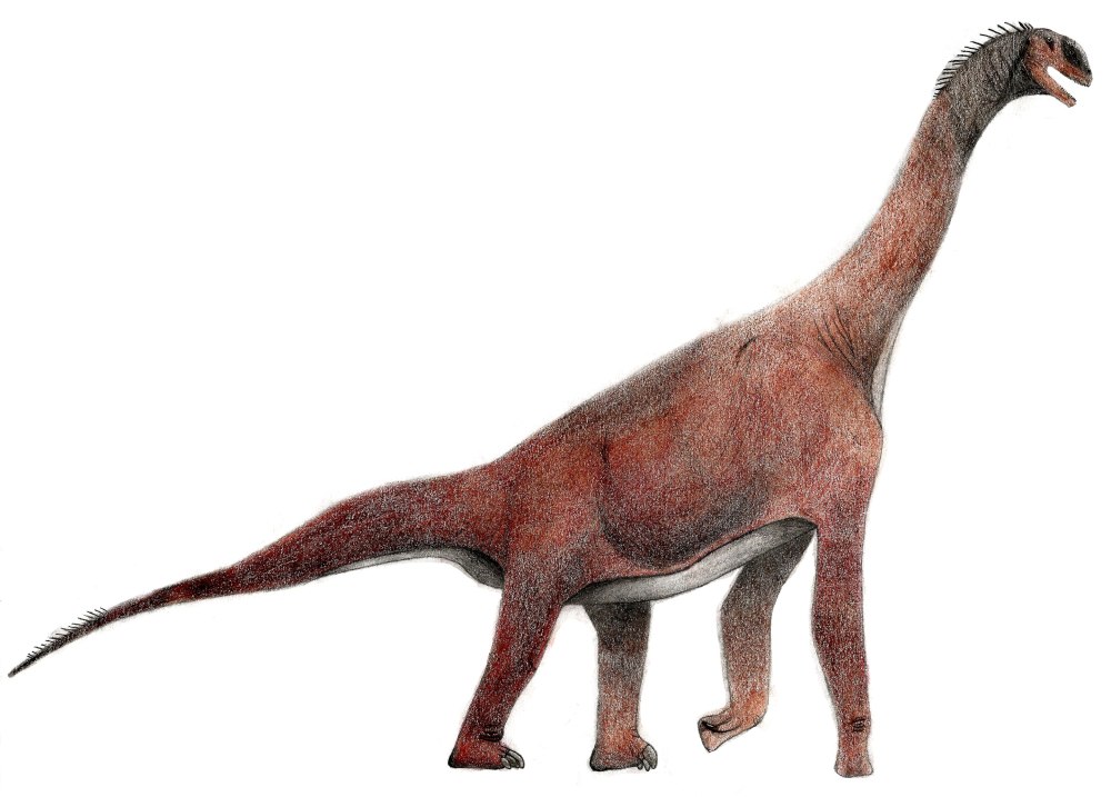Atlasaurus imelakei