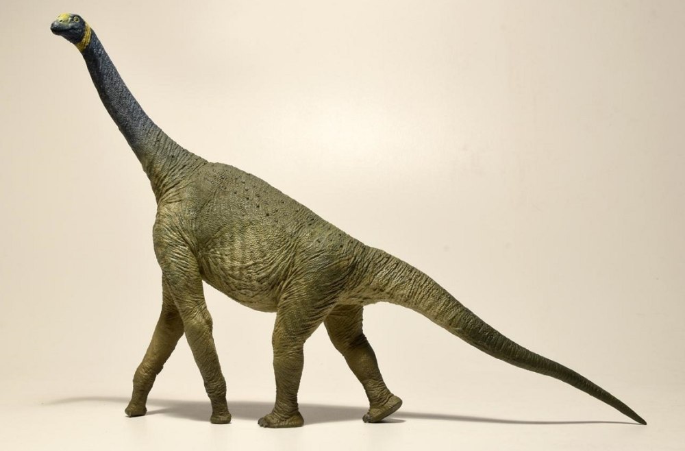 Eofauna Atlasaurus