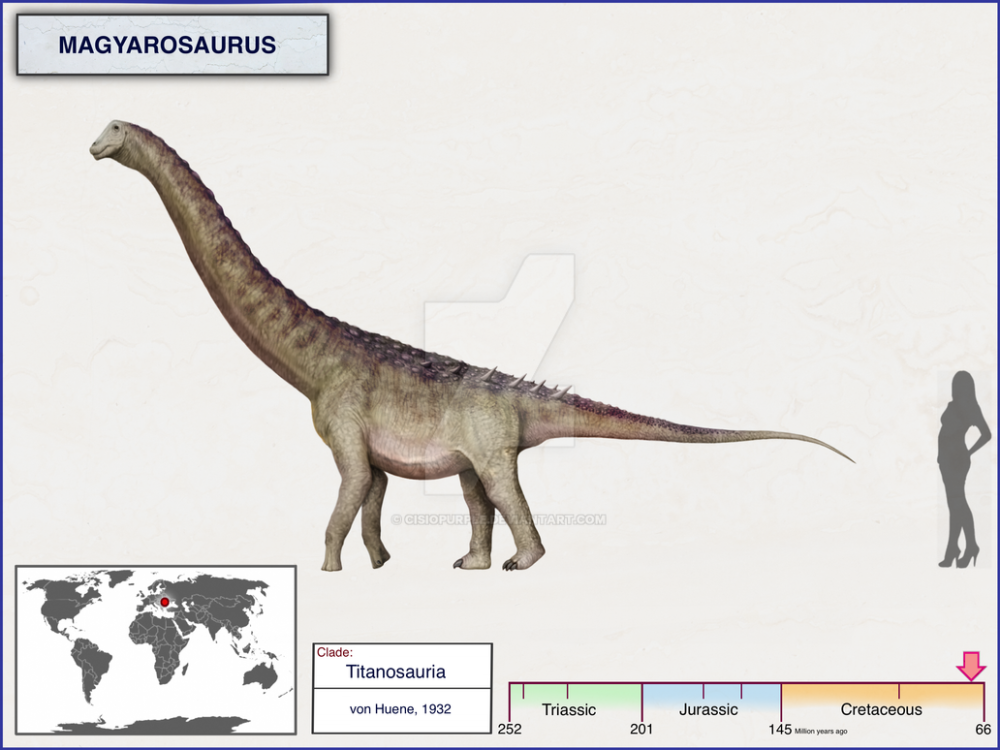 Magyarosaurus размер
