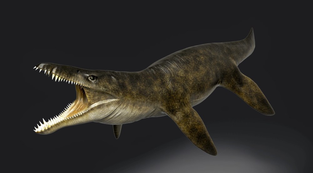 Kronosaurus Boyacensis
