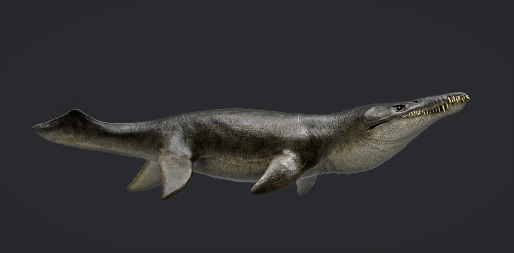 Kronosaurus Boyacensis