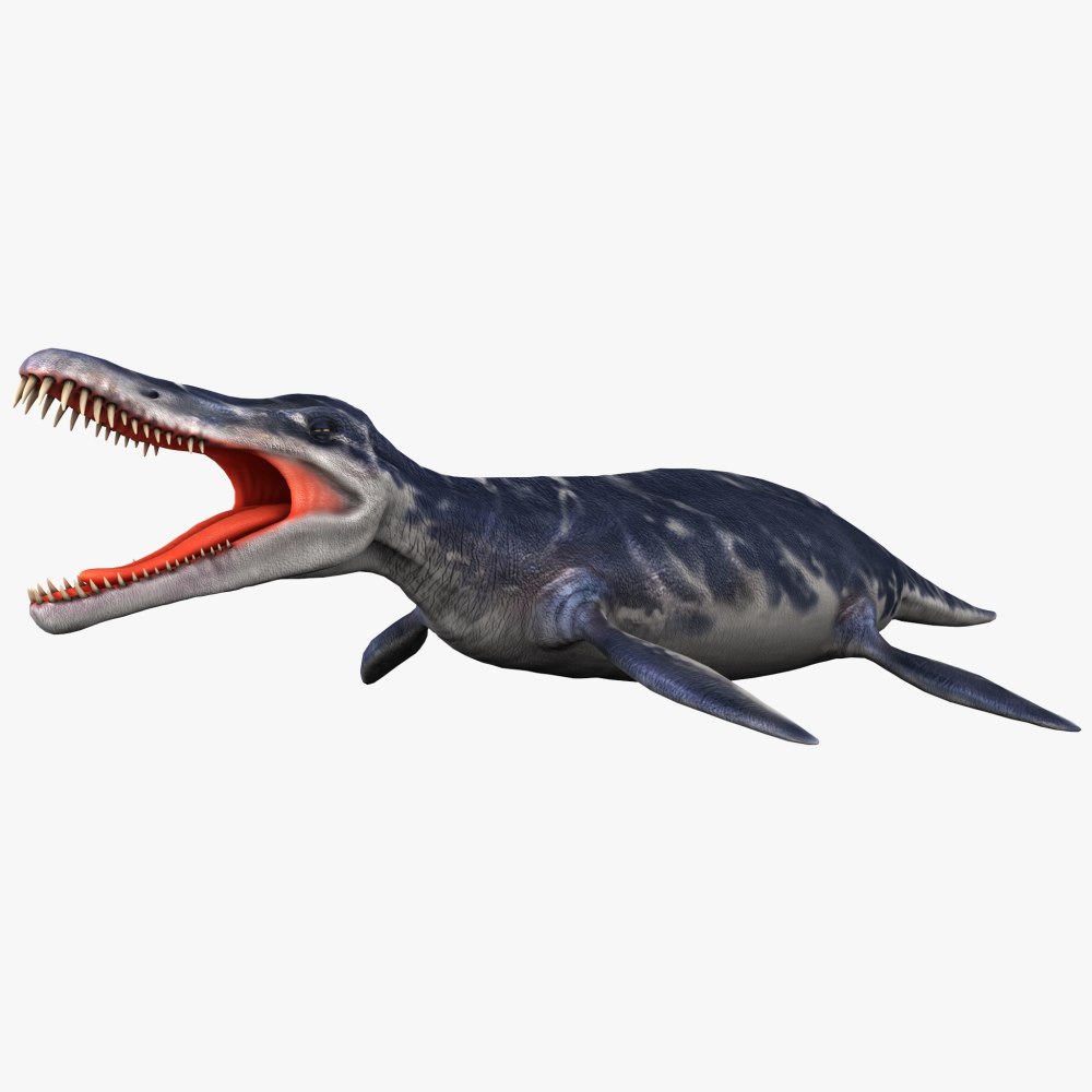 Kronosaurus queenslandicus