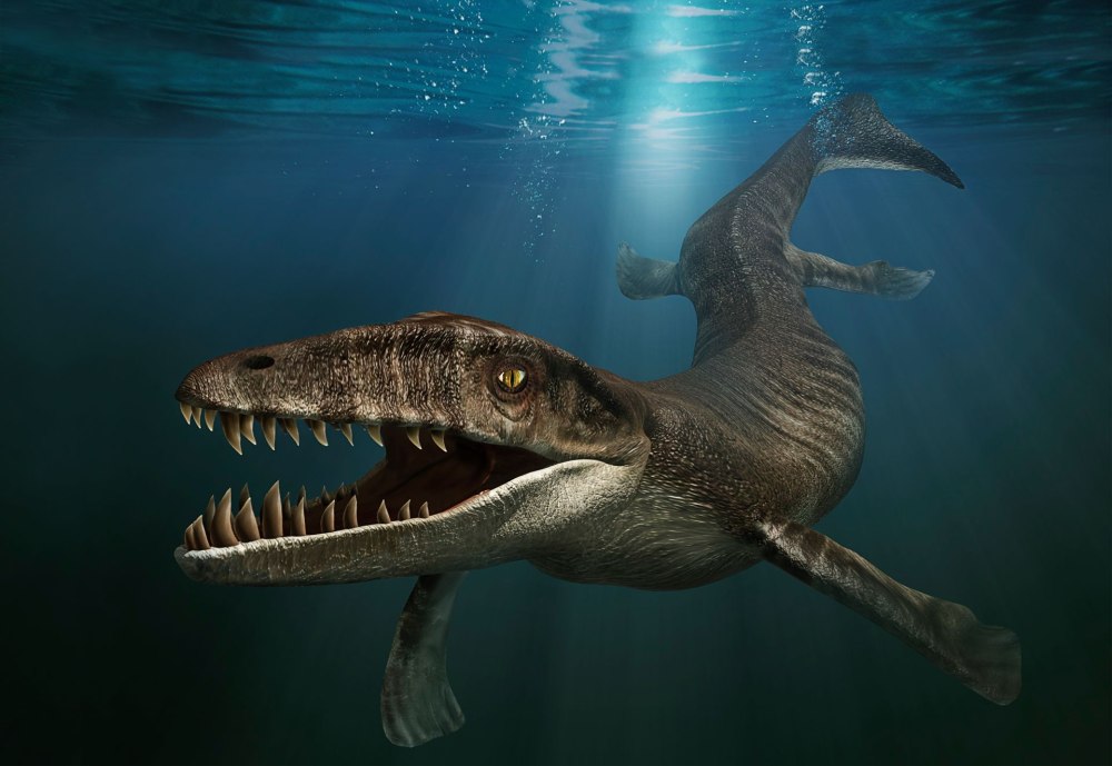 Дакозавр (Dakosaurus)