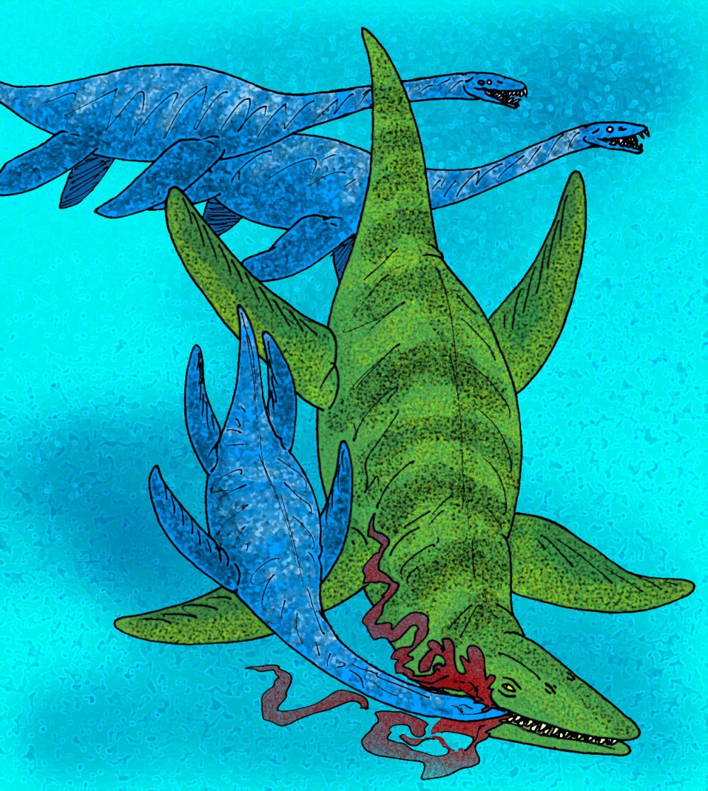 Kronosaurus queenslandicus