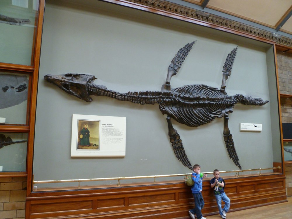 Pliosaurus brachydeirus