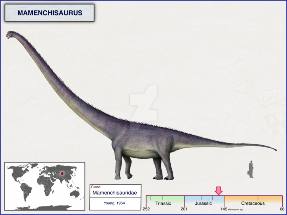 Mamenchisaurus Sinocanadorum