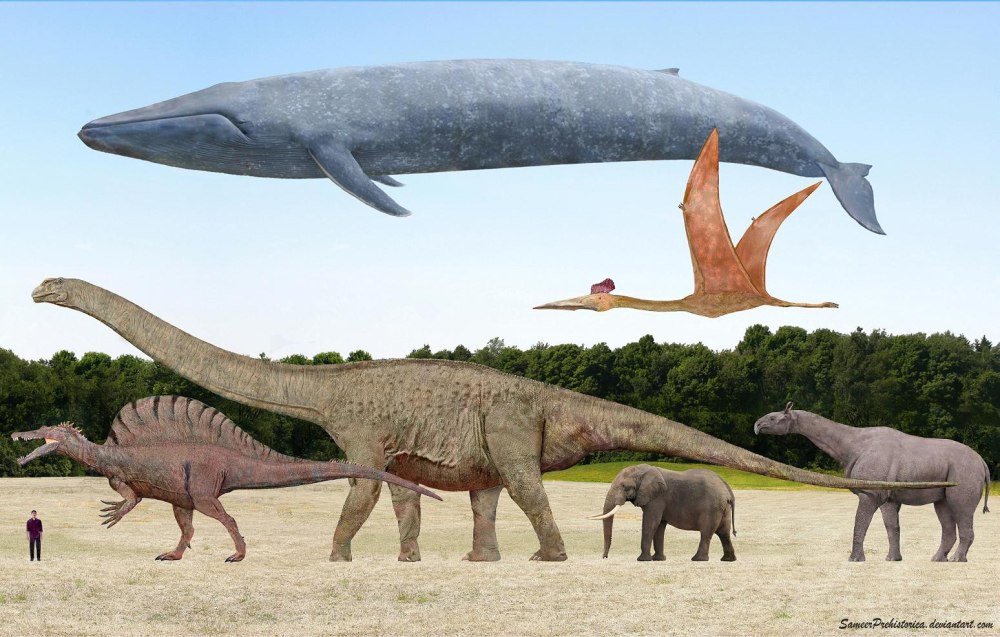Кит зауропод Argentinosaurus